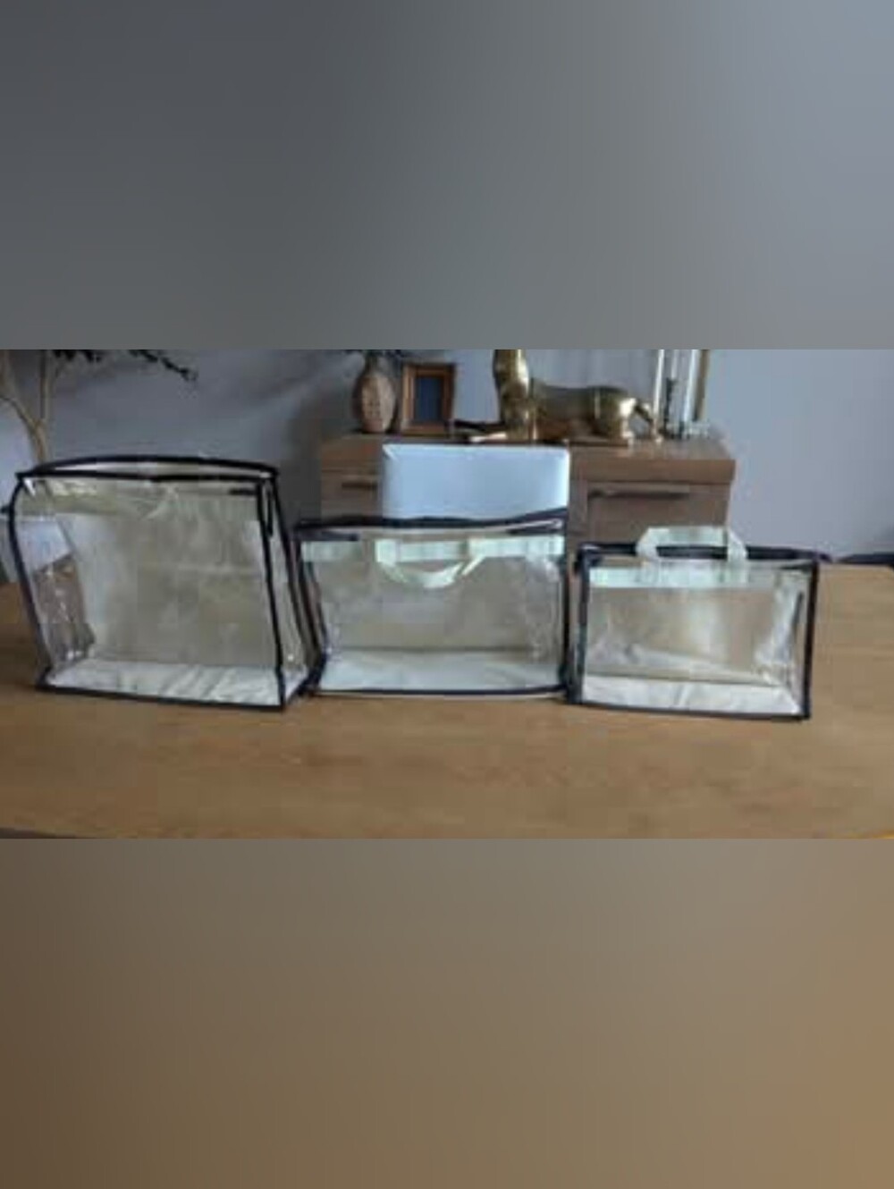 3 Piece Vercord clear handbag storage organizers